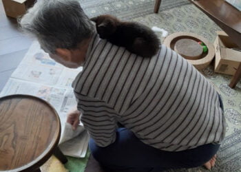 Foto do idoso com a gatinha resgatada na rua fez sucesso no Twitter. Foto: Twitter/@turi2018