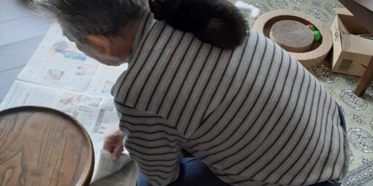 Foto do idoso com a gatinha resgatada na rua fez sucesso no Twitter. Foto: Twitter/@turi2018