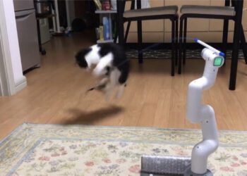 Varinha foi anexada ao topo de um robô para brincar com a gata. Foto: @yo4hi6oooo.