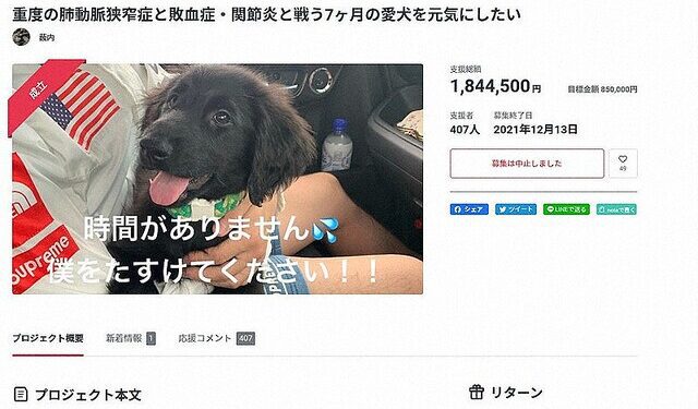 Página apelativa tentava comover os doadores. Foto: Reprodução/Mainichi.