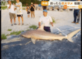 Pescador com o tubarão em praia de Okinawa. Foto: Reprodução/ANN.