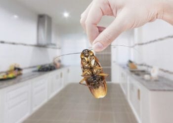 Divulgação/j-a-associates