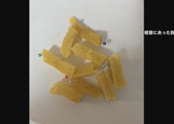 Petiscos encontrado na rua em Kanagawa. Reprodução/FNN.