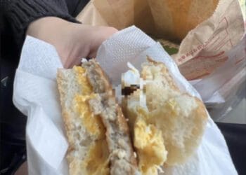 Foto divulgada no Twitter mostra o inseto dentro do lanche. Reprodução / Twitter.