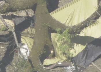 Árvore caiu na madrugada, em cima de uma barraca enquanto um casal dormia dentro. Reprodução / FNN.