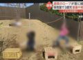 Imagem do espaço de brinquedos da creche em Saitama, onde aconteceu aconteceu o acidente. Reprodução / FNN.