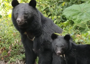 Reprodução / Post Seven.