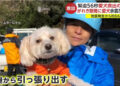 O resgate do cão em Ishikawa. Reprodução / FNN.