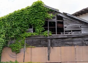 Reprodução / Oricon News.