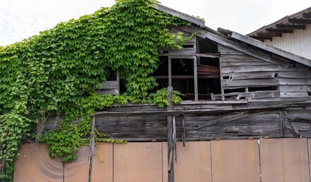 casas-abandonadas - ThingsOut Reprodução / Oricon News.