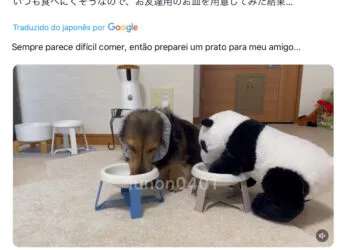 Publciação sobre o cão Lunon na rede X.