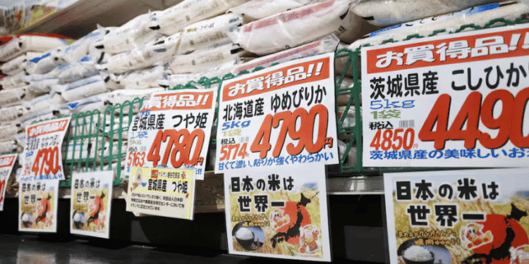 Golpes na internet aumentam em meio à disparada do preço do arroz no Japão - ThingsOut #image_title