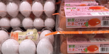 Preço dos ovos atinge maior nível desde 2012 e preocupa consumidores no fim do ano - ThingsOut #image_title