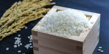 Preços do arroz sobem novamente e atingem recorde em supermercados do Japão - ThingsOut #image_title