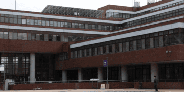 Universidade de Tsukuba pede desculpas após comentários discriminatórios de professores nas redes sociais - ThingsOut #image_title