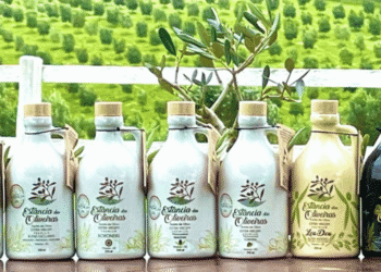 Row of olive oil bottles with olive tree branding arranged on a table against a green field backdrop