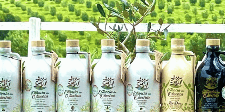 Row of olive oil bottles with olive tree branding arranged on a table against a green field backdrop