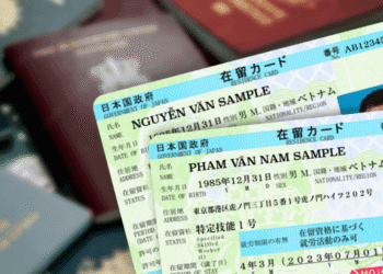 Two Japanese residence cards with personal details, showing names Nguyễn Văn Sample and Phạm Văn Nam Sample, on a blurred background.