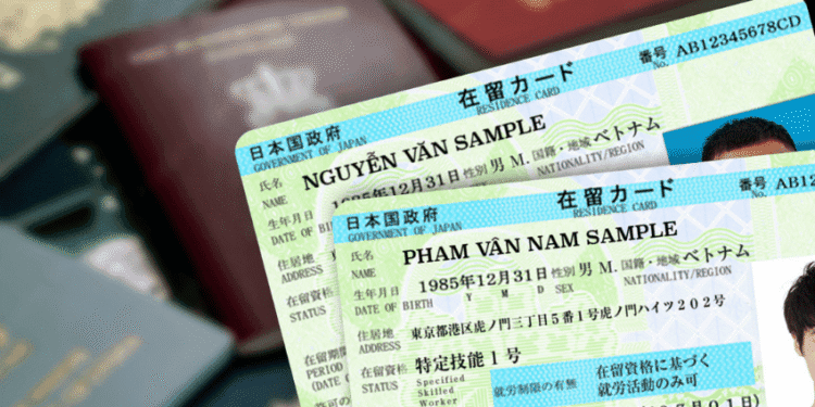 Two Japanese residence cards with personal details, showing names Nguyễn Văn Sample and Phạm Văn Nam Sample, on a blurred background.