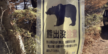 Japão reforça medidas contra ataques de ursos com fim da hibernação - ThingsOut #image_title