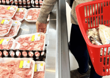 Person in a grocery store picking up trays of pink meat from a cold case while a red shopping basket sits nearby filled with packaged goods, shopper wearing a sweater and jeans.