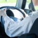 Person driving a car, hands on the steering wheel, dashboard and interior visible from the passenger side window behind the driver