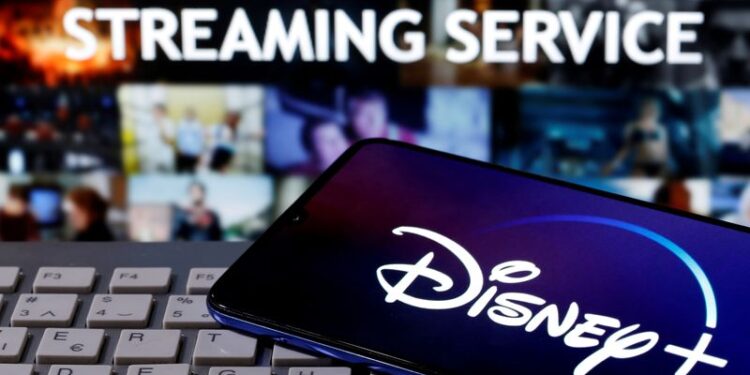 Disney+ supera 100 milhões de assinantes